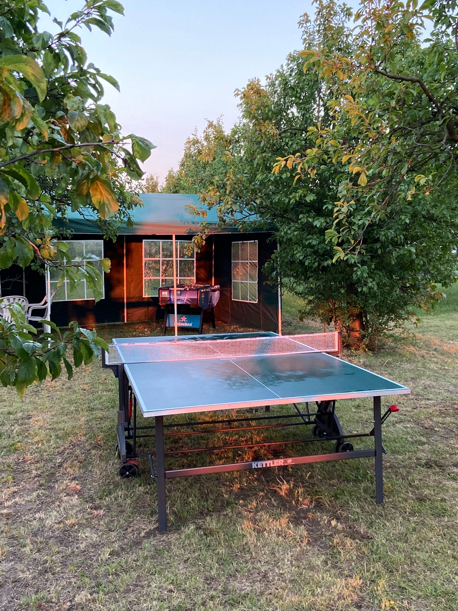 fcc80175-fd77-4475-9dfa-71c73db2cbb6